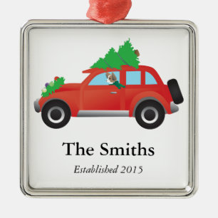 Ornement Métallique Papillon ou Chi aux cheveux longs conduisant une v