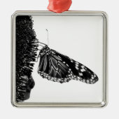 Ornement Métallique papillon timide blacq (Devant)