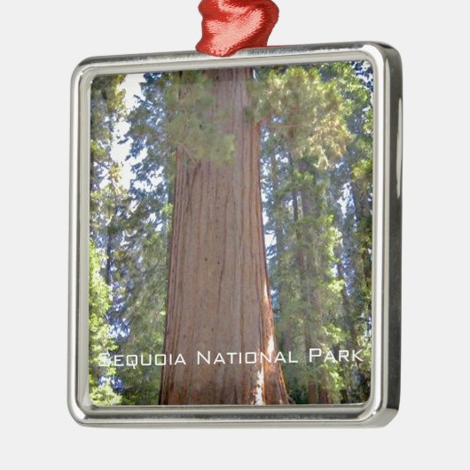 Ornement Métallique Parc national de séquoia (Gauche)