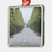 Ornement Métallique Parc national des Etats-Unis, Yellowstone, route (Gauche)