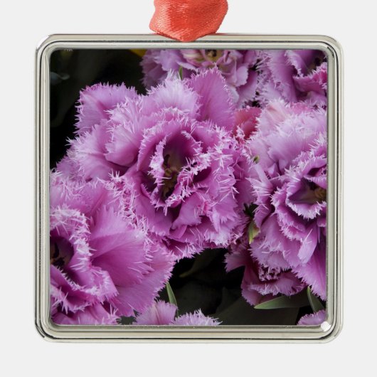 Ornement Métallique Pays-Bas (alias Holland), Lisse. Keukenhof 2 (Devant)