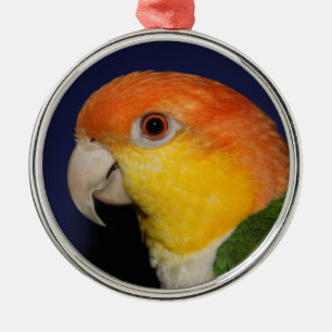 Ornement Métallique Perroquet coloré de caïque