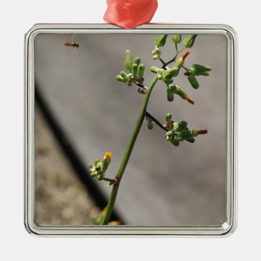 Ornement Métallique Petit Bug, Petite Fleur (Devant)