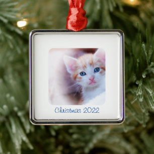 Ornement Métallique Photo de la frontière blanche Noël