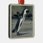 Ornement Métallique Pingouin africain (Droite)