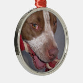 Ornement Métallique Pitbull effronté (Droite)