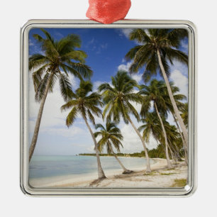 Ornement Métallique Plage à Punta Cana
