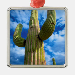 Ornement Métallique Portrait de cactus Saguaro, Arizona