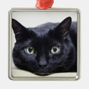 Ornement Métallique Portrait d'un chat