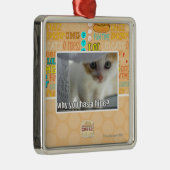 Ornement Métallique Pourquoi a-t-vous une peau ? (Droite)