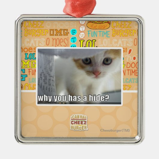 Ornement Métallique Pourquoi a-t-vous une peau ? (Devant)