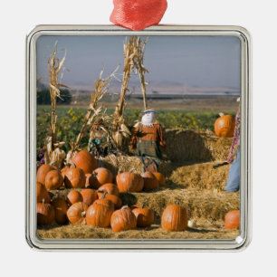 Ornement Métallique Présentation de citrouilles avec des bottes de foi