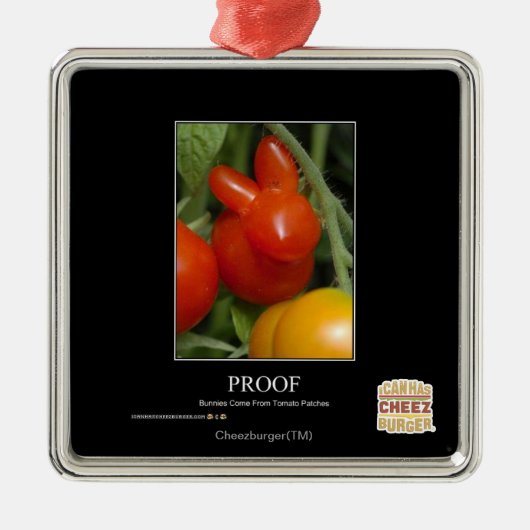 Ornement Métallique Preuve (Devant)