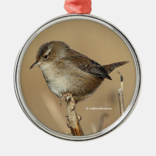Ornement Métallique Profil d'un magnifique Marsh Wren