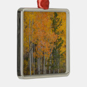 Ornement Métallique Provo (Droite)