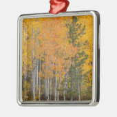 Ornement Métallique Provo (Gauche)