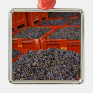 Ornement Métallique Raisins de Gamay fraîchement cueillis à la