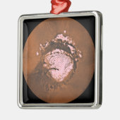 Ornement Métallique Région du Mare Boreum de Mars (Gauche)