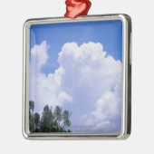 Ornement Métallique Rivage tropical (Gauche)