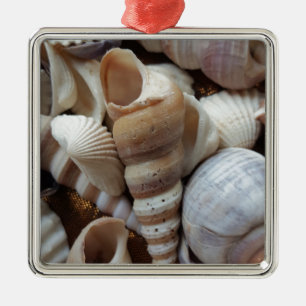 Ornement Métallique Romantique Tropical Exotic Sea Shells Plage Amour