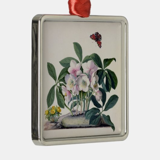 Ornement Métallique Rose de Noël (Helleborus Niger) et hiver Aconi (Droite)