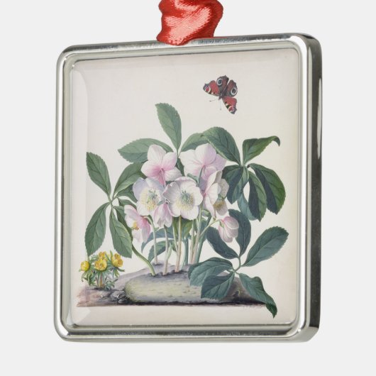 Ornement Métallique Rose de Noël (Helleborus Niger) et hiver Aconi (Gauche)