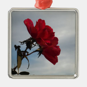 Ornement Métallique Roses rouges contre un ciel bleu vif