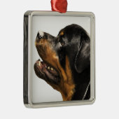 Ornement Métallique Rottweiler (Droite)