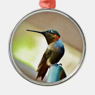 Ornement Métallique Ruby perché et petit colibri vert