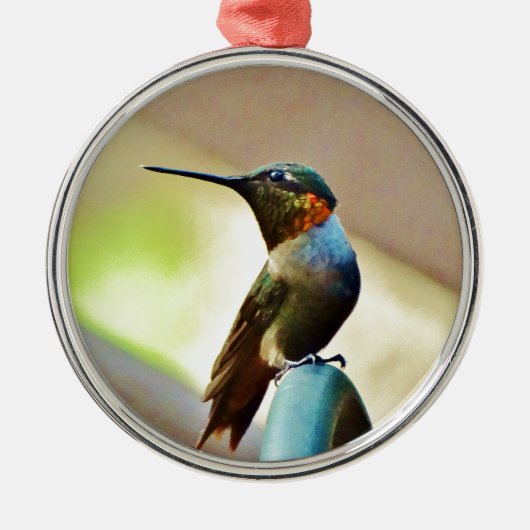Ornement Métallique Ruby perché et petit colibri vert (Devant)