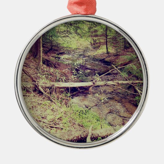 Ornement Métallique Ruisseau Upper Peninsula (Devant)