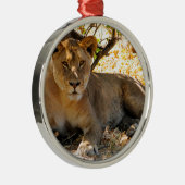 Ornement Métallique Siesta Time (Droite)