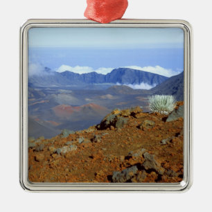 Ornement Métallique Silversword sur le bord du cratère Haleakala depui