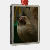 Ornement Métallique Sloth (Droite)