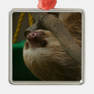 Ornement Métallique Sloth