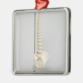 Ornement Métallique Squelette de chiropractie (Gauche)
