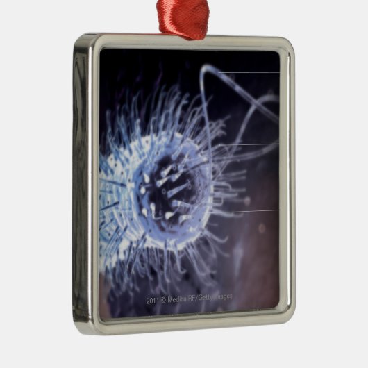 Ornement Métallique Structure d'une cellule de pylores de hélicobacter (Droite)