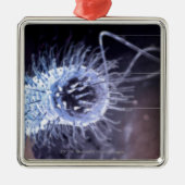 Ornement Métallique Structure d'une cellule de pylores de hélicobacter (Devant)