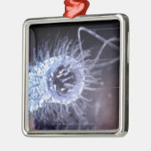 Ornement Métallique Structure d'une cellule de pylores de hélicobacter (Gauche)