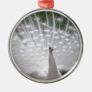 Ornement Métallique Superbe blanc Peacock ( Paon) plein plume