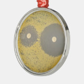 Ornement Métallique Susceptibilité antibiotique bactérienne (Gauche)