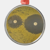 Susceptibilité antibiotique bactérienne