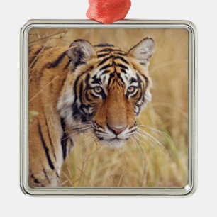 Ornement Métallique Tigre royal du Bengale
