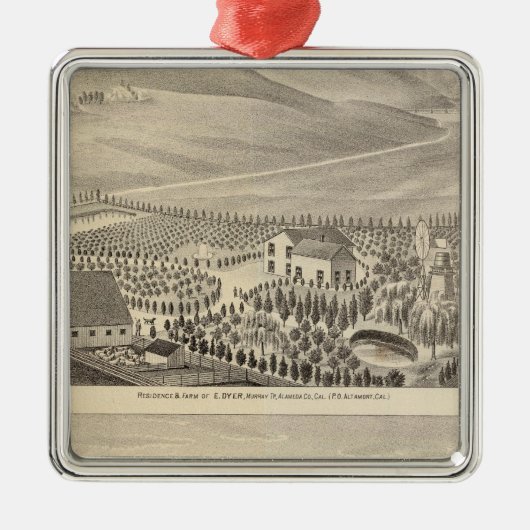 Ornement Métallique Tinctorial, propriétés de Hupers (Devant)