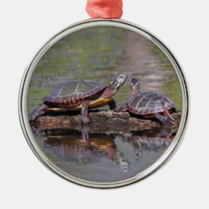 Ornement Métallique Tortues peintes orientales