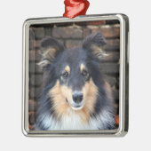 Ornement Métallique Tricolor Sheltie face (Gauche)
