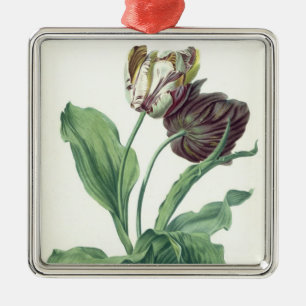 Ornement Métallique Tulipe de jardin, de "opéra Botanica", gravé par