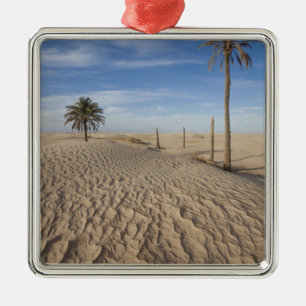 Ornement Métallique Tunisie, désert du Sahara, Douz, Grande Dune, aube