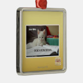 Ornement Métallique Tuteur Kitty (Droite)