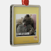 ORNEMENT MÉTALLIQUE U A UNE SAVEUR (Droite)